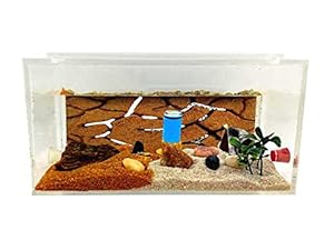 Anthillshop.es Acryl Starter Set Ameisenfarm 20x10x10