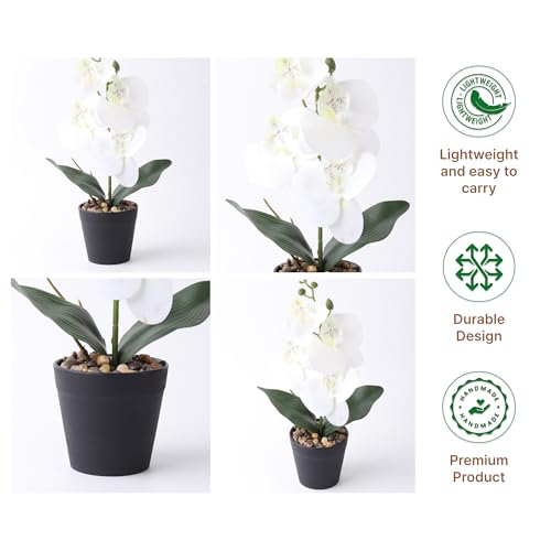 Image of Habere India-All the Cultures Fabricating India White Orchid Artificial Plants with Pot for Home Decor | Small Fake Flower Plants for Living Room & Indoor Decoration (Design02: L8.5 x W8.5 x H32 cm)