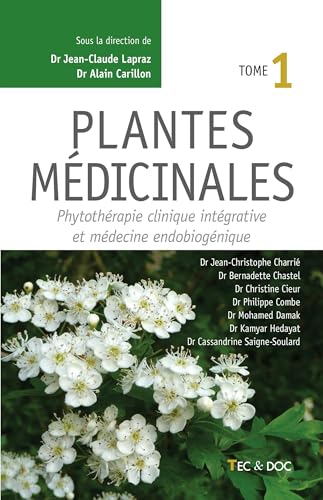 Faut-il craindre les plantes médicinales ? Comment les utiliser sans risque ? Santé et Bien-être