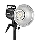 Godox SK400IIV LED-Studioblitz 400 Ws, 2,4 G GN65 5600 K Studio-Blitzlicht mit LED-Einstelllampe, Bowens-Halterung für Studio, kommerzielle Fotografie (SK400II verbesserte Version)