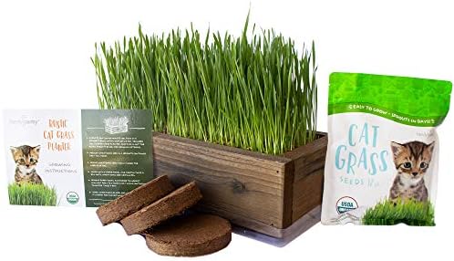 Organic Cat Grass Seeds Kit - Decorative Reclaimed Barnwood Style Organic Wheatgrass Seeds Planter - Rich Brown - Hairball Remedy for Cats, Healthy Pet Grass Supplement & Wheatgrass Growing Kit