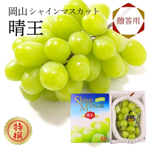 ノーブランド品 シャインマスカット晴王 の商品画像 1