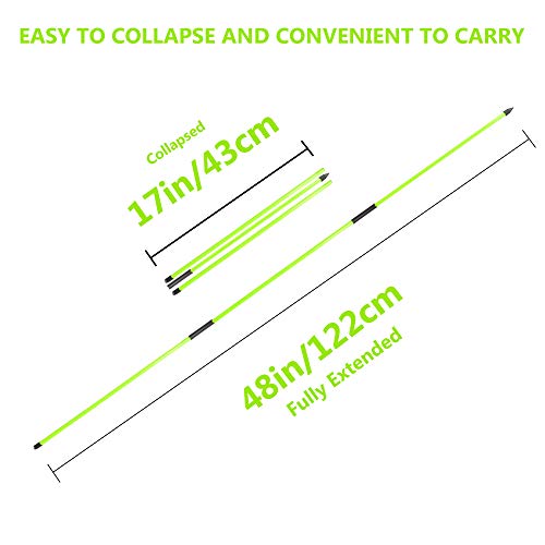 Asyxstar Golf Alignment Stick - Golf Sticks Alignment Aid 48" Golf Alignment Rods 2 Pack For Aiming, Putting, Full Swing Trainer, Posture Corrector Golf Training Aid With Clear Tube Case #TOP2
