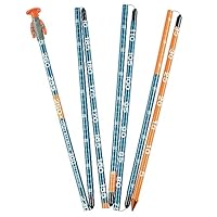 K2 BCA Lawinensonde Stealth 300, Blue, 23E5003