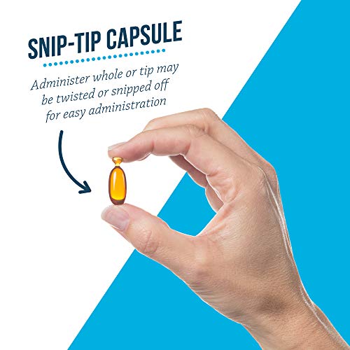 Free Form Snip Tips Sm Dog/Cat - 60Ct​ #TOP5