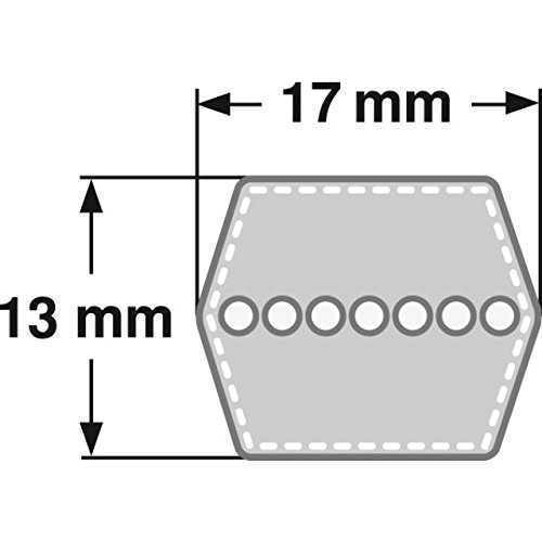 Correa trapezoidal de 6 cantos, BB 101 - HBB 2634 mm