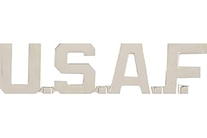 Top Gun: United States Air Force Lapel Pin