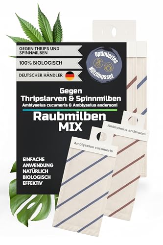 Raubmilben gegen Thrips Spinnmilben Weiße Fliege und weitere Schädlinge (8 Mix gegen Thrips/Spinnmilbe)