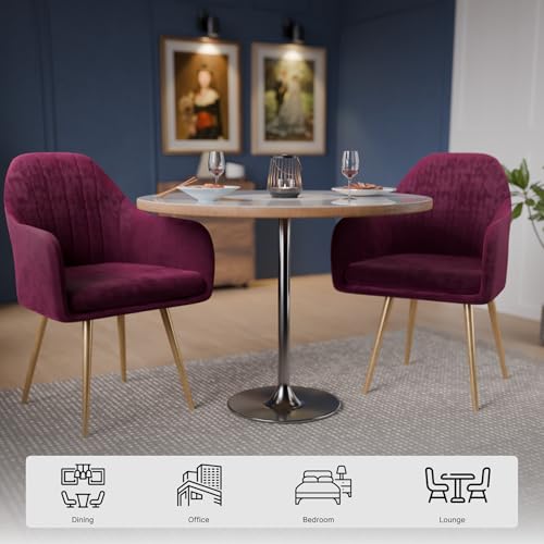 Image of Milano Velvet Comfort Dining Chair with Deep Cushion Seating, Strong Wooden Frame & Metal Support Legs for Dining, Living Room, Bedroom, Balcony & Office (Royal Maroon)
