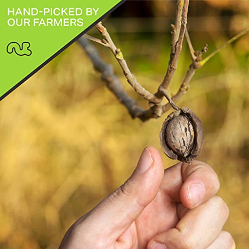 image for Nut Cravings Candied Pecans Honey Glazed Praline, No Shell (32oz - 2 L