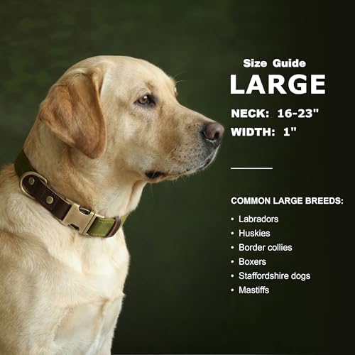 Image of Didog PU Leather Dog Collar for Large Dogs, Soft Nylon Lining,Olive Green L