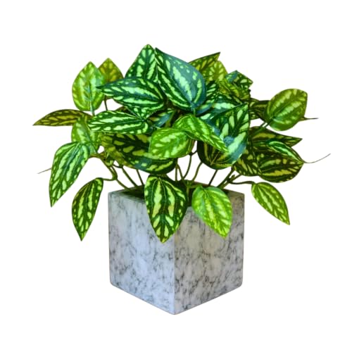 Image of fancymart Artificial Plant with Real-Touch Leaves in Pot, 25 cm, Indoor Tabletop Item for Home Decor, Office, Living Room
