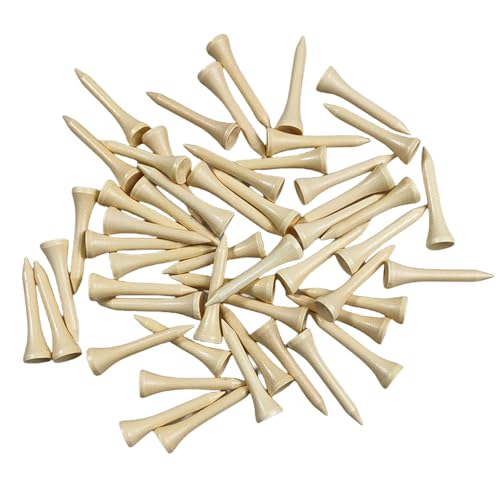 CXINCFBFUSH St eB[ ou[eB[ 42mm V[geB[ 50{ ϋvACƃTChXsጸ܂