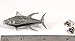 Yellowfin Tuna, Fish Pin, Pewter, 2”, S011, Hawaiian, Thunnus albacares, Pelagic Marine Fish, Saltwater, Lapel, Hat, Pins, Brooch, Jewelry, Gift, 100% Handmade in the USA, Over 200 Fish Designs Available.