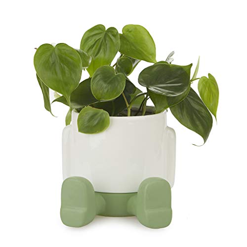 Balvi Maceta MrSitty Color Verde y Blanco Tiesto para Plantas en Forma de Personaje simpático con...