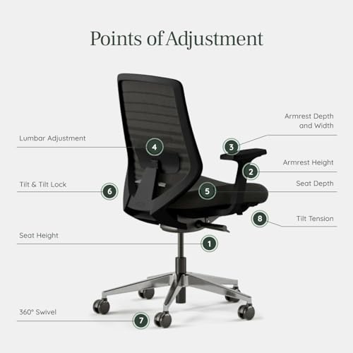 Image of Branch Ergonomic Chair, Versatile Desk Chair with Adjustable Lumbar Support | Breathable Mesh Backrest and Smooth Wheels, Experience Optimal Comfort and Support, All Black