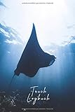tauchen padi  Tauch Logbuch: Dive Log für 100 Tauchgänge  110 Seiten  Taschenbuch Format
