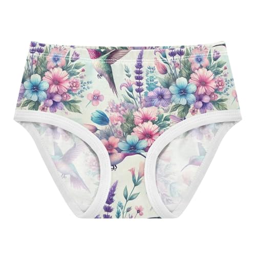 Joisal Aesthetic Toddler Girls Underwear 2t Cotton Cute Panties Girl Watercolor Hummingbirds Pastel Undies Kids Briefs