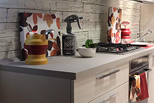 Dr. Killigan’s Six Feet Under Non Toxic Insect Killer Spray | Indoor Natural Pest Control | Flea, Tick, Pantry & Clothing Moths, Ant, & Cockroach | Family Friendly, Pet Safe (24 Oz) #TOP4