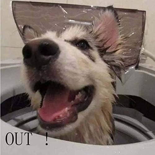 DDDOOG RDIEOound DDDOODOD GG