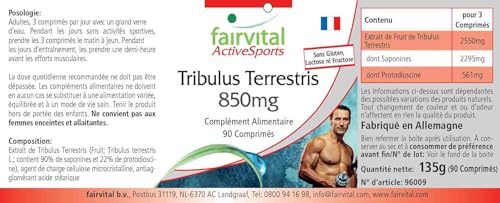 Tribulus Terrestris Kapseln Fairvital – 850mg Extrakt mit 90 Tabletten