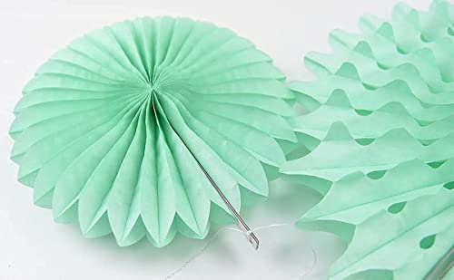 Mint Peach Baby Shower Decorations/Mint Peach Birthday Party Decorations 7Pcs Tissue Paper Fan Flower/Mint Peach Wedding Bridal Shower/Bachelorette Party Decorations #TOP4