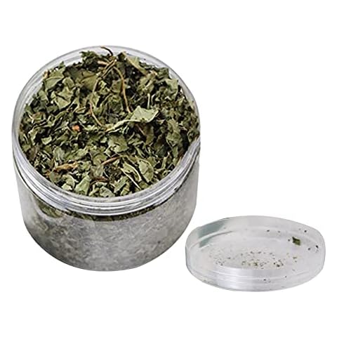 Fulenyi Organic Premium Catmint Cat Toy Nepeta Cataria Single Can Of Catnip Leaves The Perfect Cat Nip Gift For Eco-friendly Animal Lovers Cover