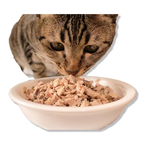 田子丸の「ポチたまのおやつ 詰め合わせ」 犬 猫 いぬ ねこ イヌ ネコ ペット ご飯 鰹なまり節 かつお カツオ 常温 伊豆 ギフト 御歳暮 御中元