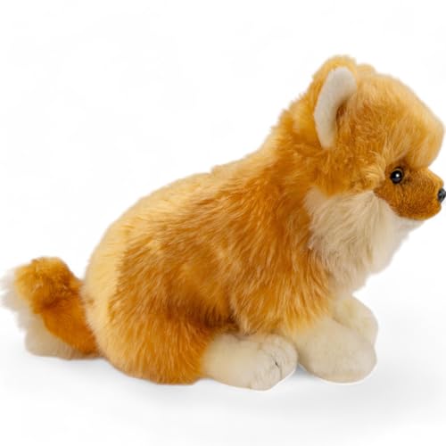 Carl Dick Zwergspitz, Pomeranian Hund sitzend, Hund, Plüschtier, Kuscheltier, ca. 25cm 3557