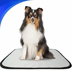 Tapete Higiênico lavável para cães, M, Tam.80 x 60cm, 01, não vaza xixi, reutilizável.