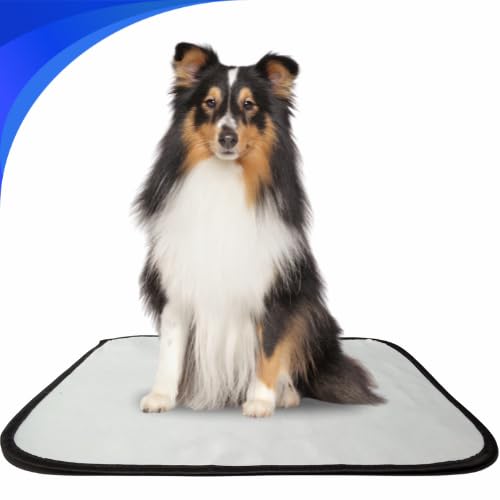 Santy Moda Pet, Tapete Higiênico lavável para cães, M, Tam.80 x 60cm, 01, não vaza xixi, reutilizáve