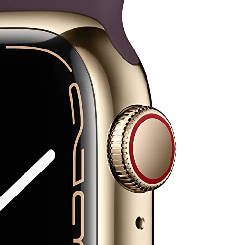 41KN4BhYScL Apple Watch Series 7 GPS + Cellular, 41mm Gold Stainless Steel Case with Dark Cherry Sport Band - Regular (Renewed) - Image 3