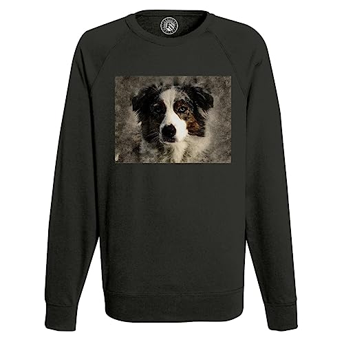 Sweat Border Collie effet peinture d'art pour homme style canin unique