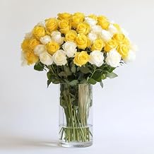 GlobalRose White & Yellow Fresh Cut Roses - 50 2 Bundles of 25 Fresh Flowers Bouquet for Wedding, Birthday, Anniversary, Mothers Day, or Home Decor - Flowers Delivery Gift