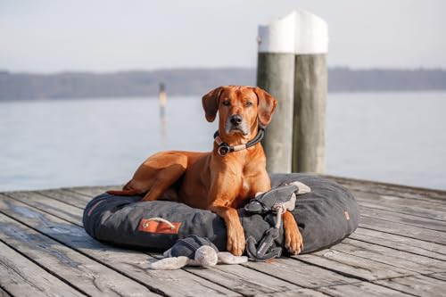 TRIXIE Be Nordic Plüschtiere für Hunde Scholle Hajo – maritimes Kuscheltier für Hunde zum Spielen und Kuscheln – robust & langlebig - 36061