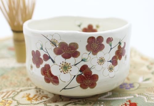 Waraku Fuuka Mino Ware Matcha Bowl & Whisk Set