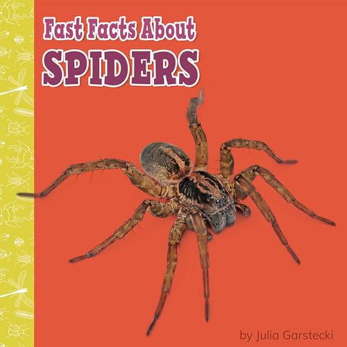 Fast Facts About Spiders by Julia Garstecki-Derkovitz episode artwork
