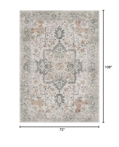 GENIMO 6x9 Area Rugs for Living Room, Machine Washable Low Pile Rugs, Chenille Non Alip Vintage Rug for Bedroom, Dining Room, Home Office, Light Taupe Brown