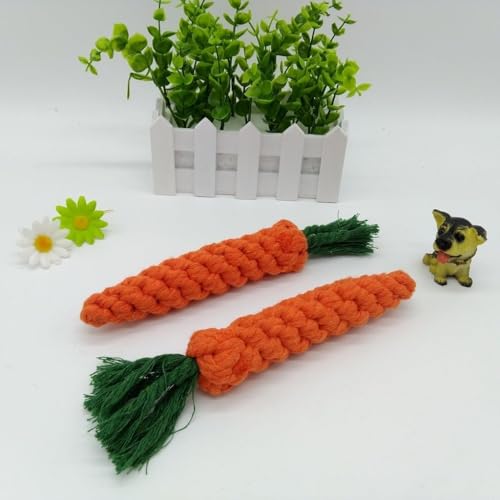 SSHUIKKAI 2 Stück Hundespielzeug Ostern, Kauspielzeug Welpe, Ostergeschenk Für Hunde, Hundespielzeug Welpe, für Kleine Mittelgroße Welpen(Orange Farbe)