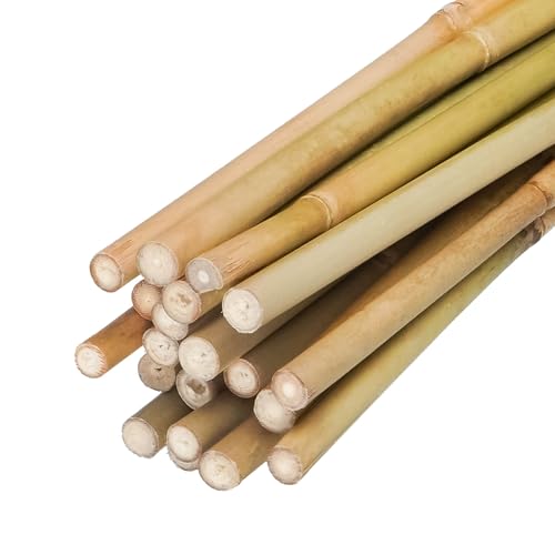 Groovboo Natural Bamboo Plant Stake (Approx 8ft 10pcs 1) Sturdy Bamboo Poles Durable Plant Bamboo Stake Garden Climbing Plant Bracket.