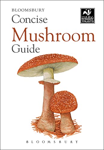 Concise Mushroom Guide (Concise Guides) view 2