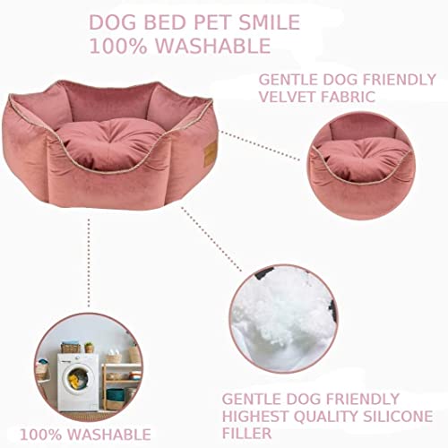 Image of PetLux Velvet Pet Smile Super Soft Reversible Bed for Indoor Cats, Dog Bed for Puppy and Kitty Round Bed, Sofa Basket for a Dog & Cat | Pet Bed with Pillow (M, Pink)