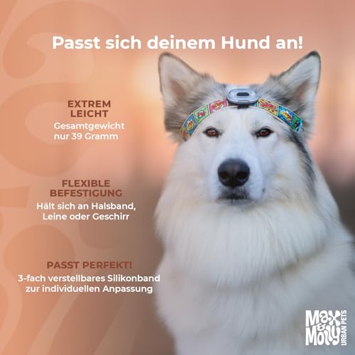Max & Molly Matrix 2.0 Ultra LED, Hundelicht für Geschirr, Leine & Halsband, Schwarz, Wasserfest, USB Wiederaufladbar, Hundelampe LED, Hunde Leuchtanhänger für mehr Sicherheit bei Nacht
