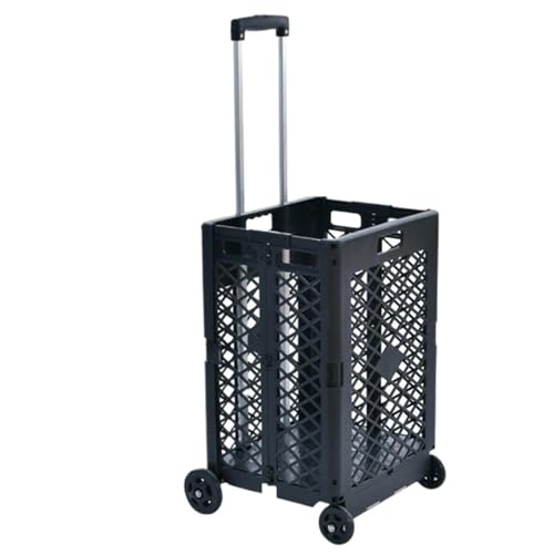 ܂肽 VbsOJ[g ^щ\ ܂肽ݎHiVbsOJ[g ƒp|[^unhJ[g  ƒp