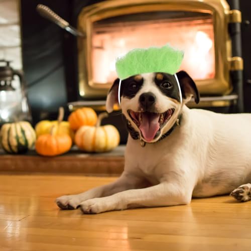Disfraz para perro y gato con peluca ajustable UKCOCO Halloween miniatura 6