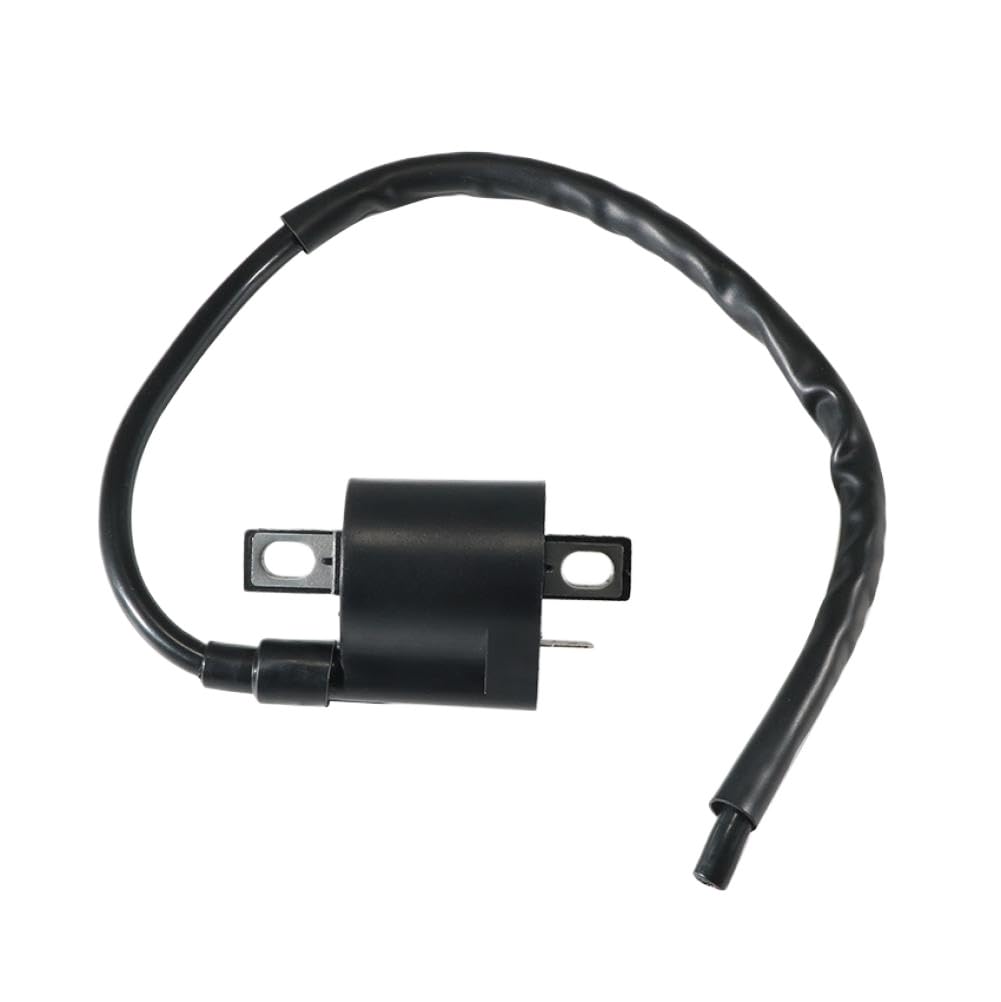 Bobine d'allumage Compatible With Suzuki LT-F160 LT160 LTF250