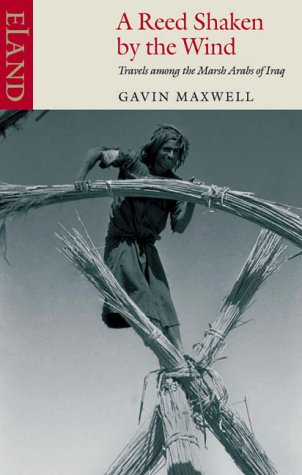 A Reed Shaken By The Wind: Travels Among The Marsh Arabs Of Iraq:  Amazon.co.uk: Maxwell, Gavin: 9780907871934: Books