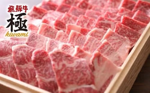 飛騨牛 バーベキュー BBQ がっつりカルビ500g 牛肉 和牛 飛騨市推奨特産品