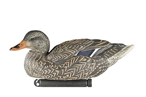 Dakota Decoy X-Treme Flocked Drake Head Mallards (12 Pack) 12120