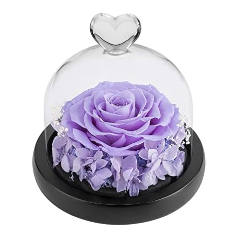 DuHouse Preserved Purple Rose Flower Box Cover